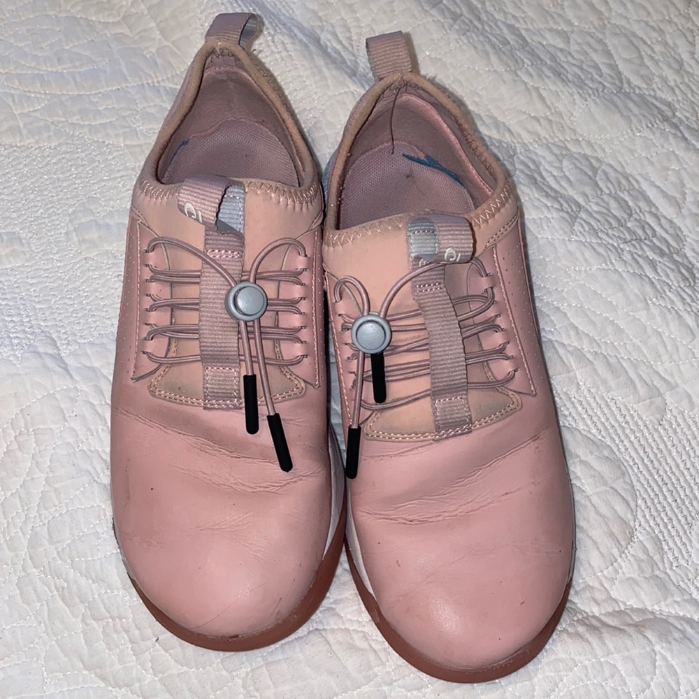 Clove pink